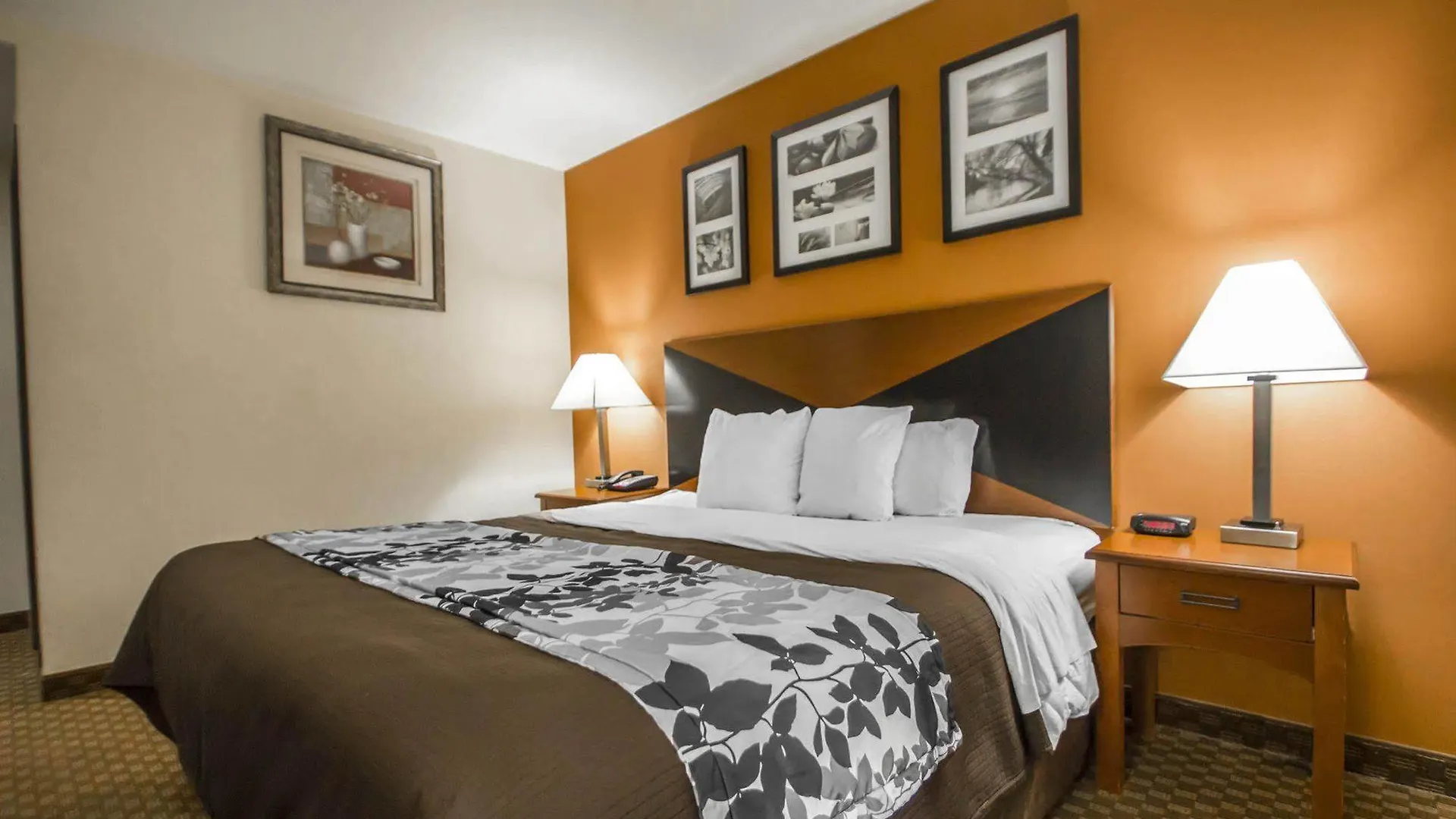 Hotel Sleep Inn Brooklyn New York